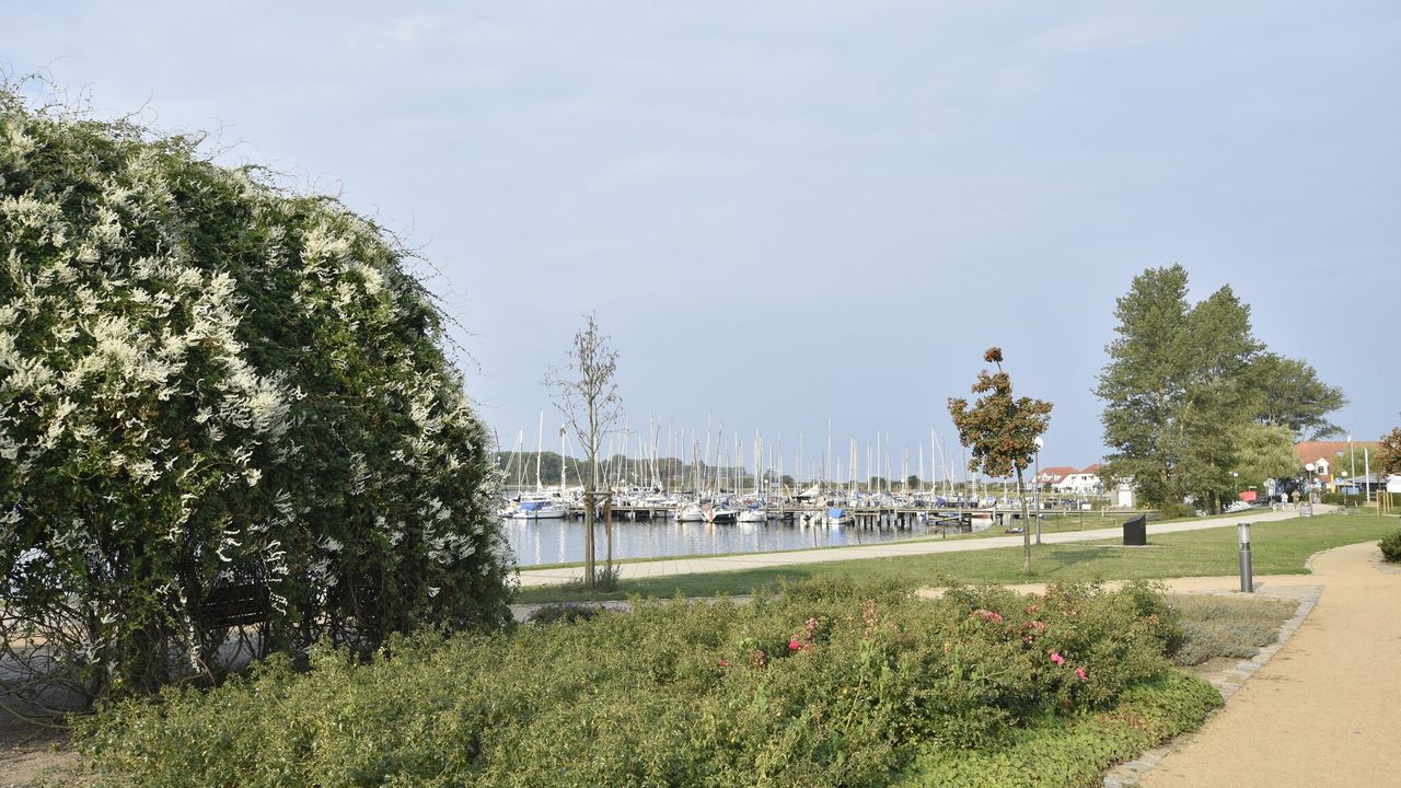 AreaSummer1KM AreaSummer1KM